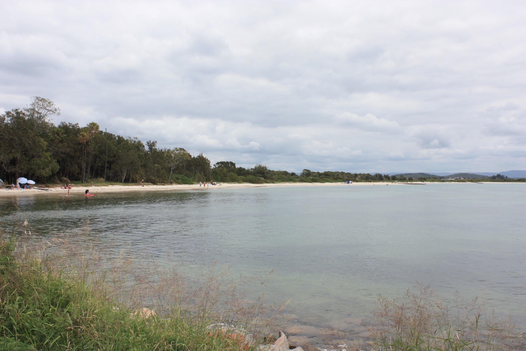 FUNDING ALLOCATED TOWARDS SALTS BAY PROTECTION AND ENHANCEMENT WORKS  Main Image