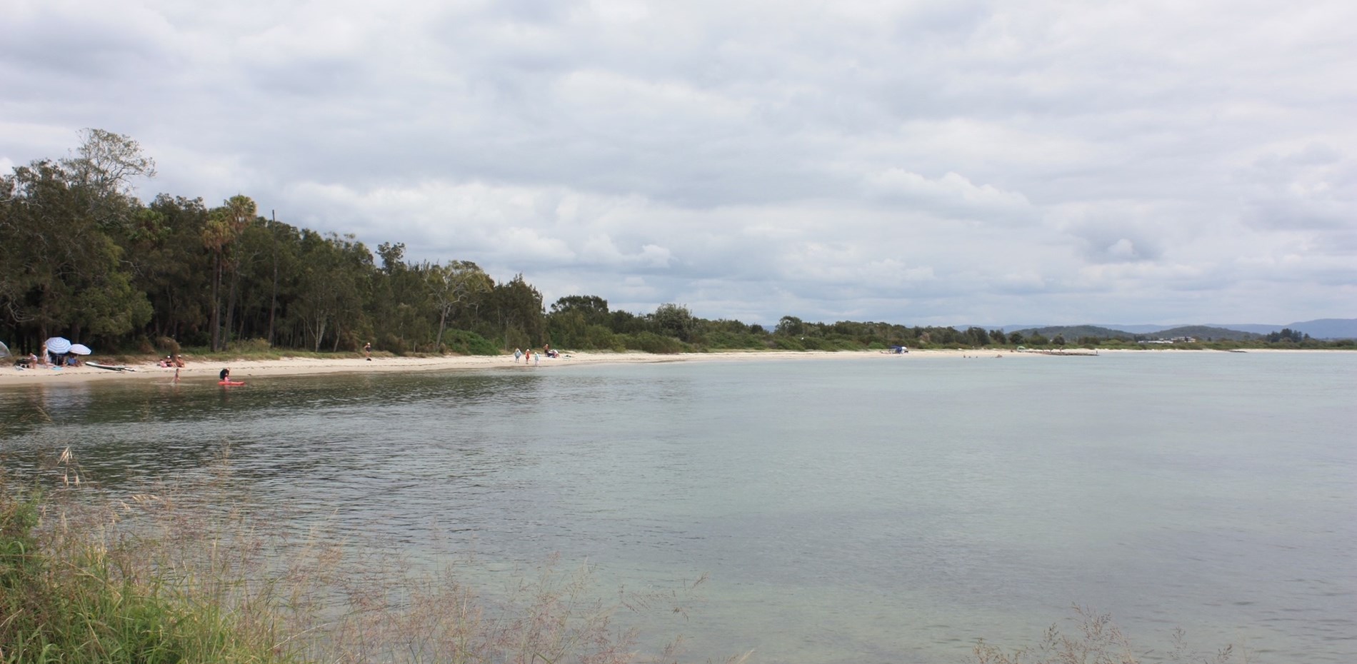 FUNDING ALLOCATED TOWARDS SALTS BAY PROTECTION AND ENHANCEMENT WORKS  Main Image